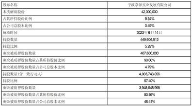 新湖中宝股份有限公司第十一届董事会第十七次会议决议暨关于合作增资衢州市衢发瑞新能源材料有限公司的公告