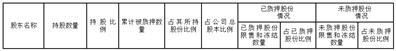 国脉科技股份有限公司股东股份解除质押的公告