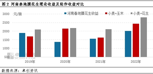 卓创资讯调研：2023季河南新花生播种面积恢复性增加