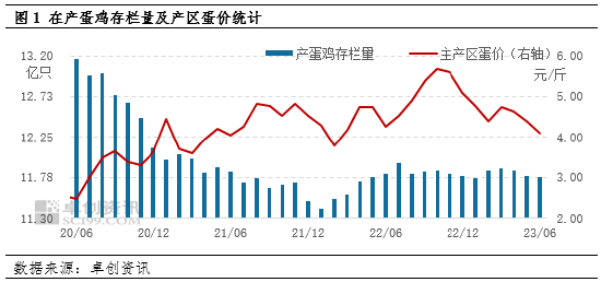 卓创资讯：6月在产蛋鸡存栏量稍降 7月呈增加趋势