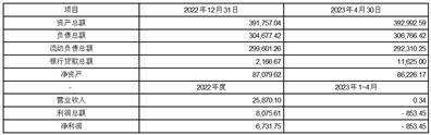 天津泰达股份有限公司关于为控股子公司和全资子公司提供担保的公告