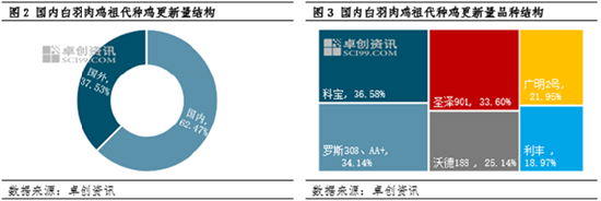 卓创资讯：白羽肉鸡祖代种鸡上半年更新量提升，下半年增长趋势或延续