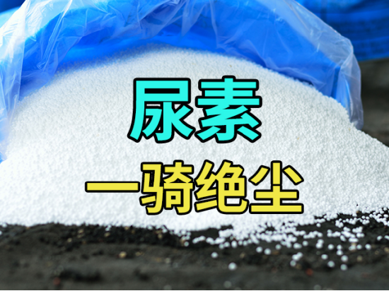 尿素：一骑绝尘