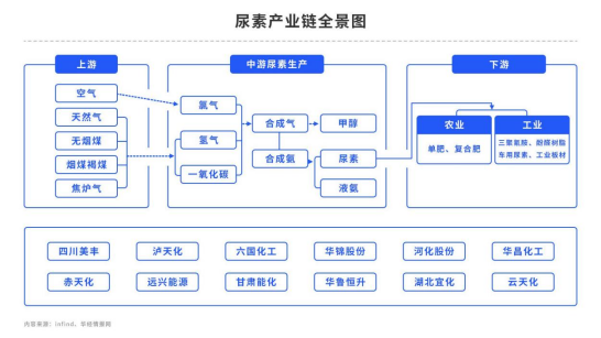 尿素：一骑绝尘