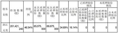 浙江洁美电子科技股份有限公司关于公司控股股东部分股权质押的公告