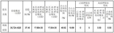 安徽辉隆农资集团股份有限公司关于控股股东部分股份质押延期购回及补充质押的公告